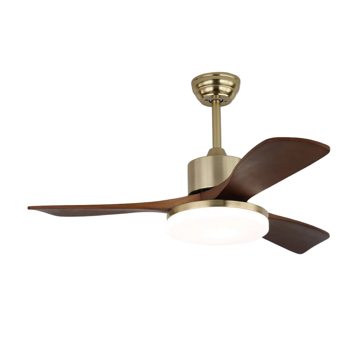 Noamiko Ceiling Fan Light