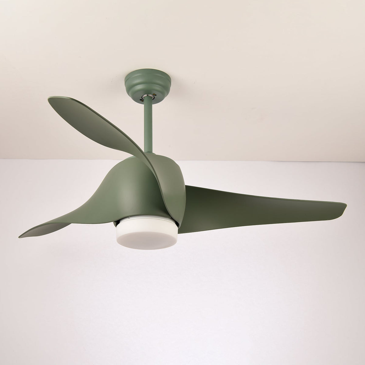 Dellyn Ceiling Fan Light