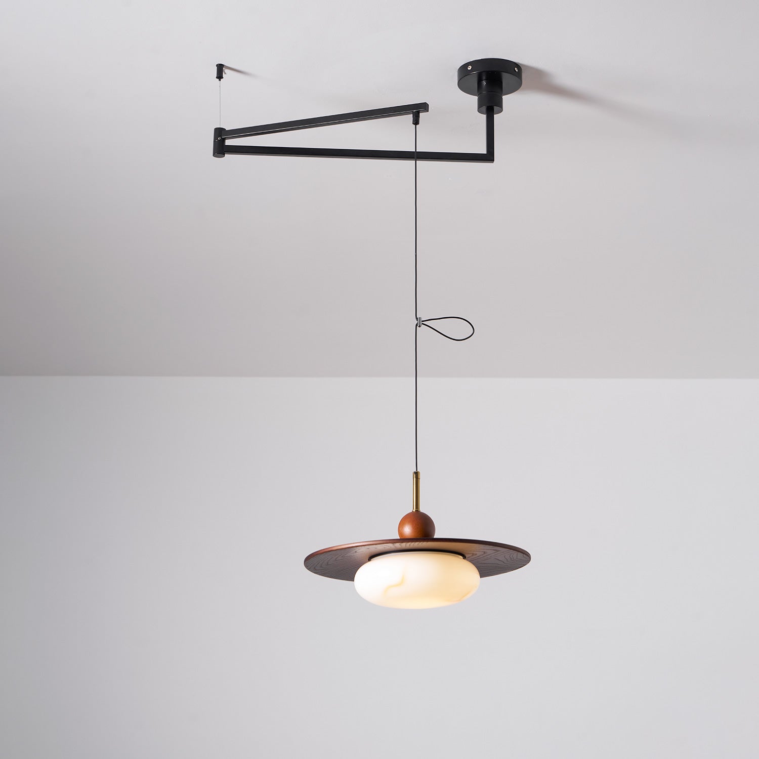 Calani Swing Arm Pendant Light
