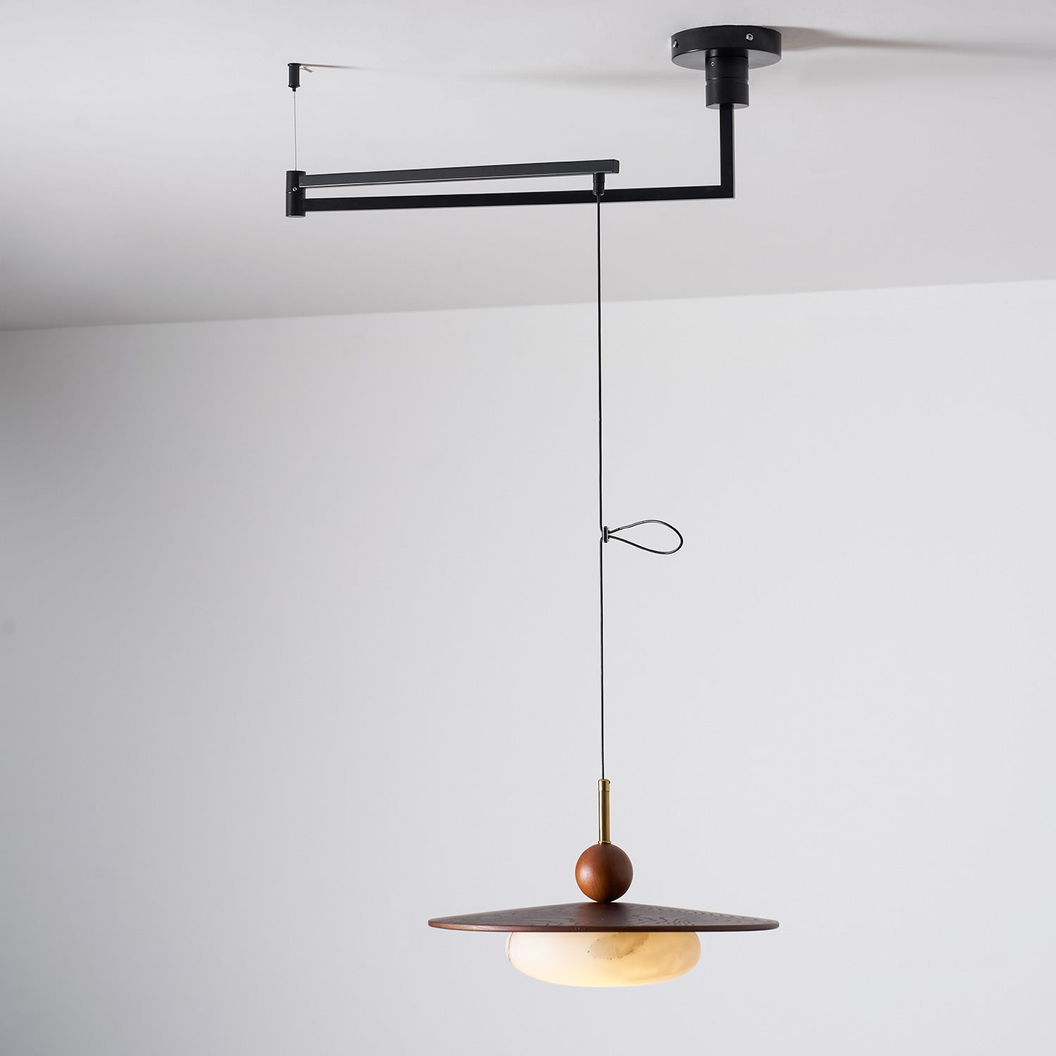 Calani Swing Arm Pendant Light