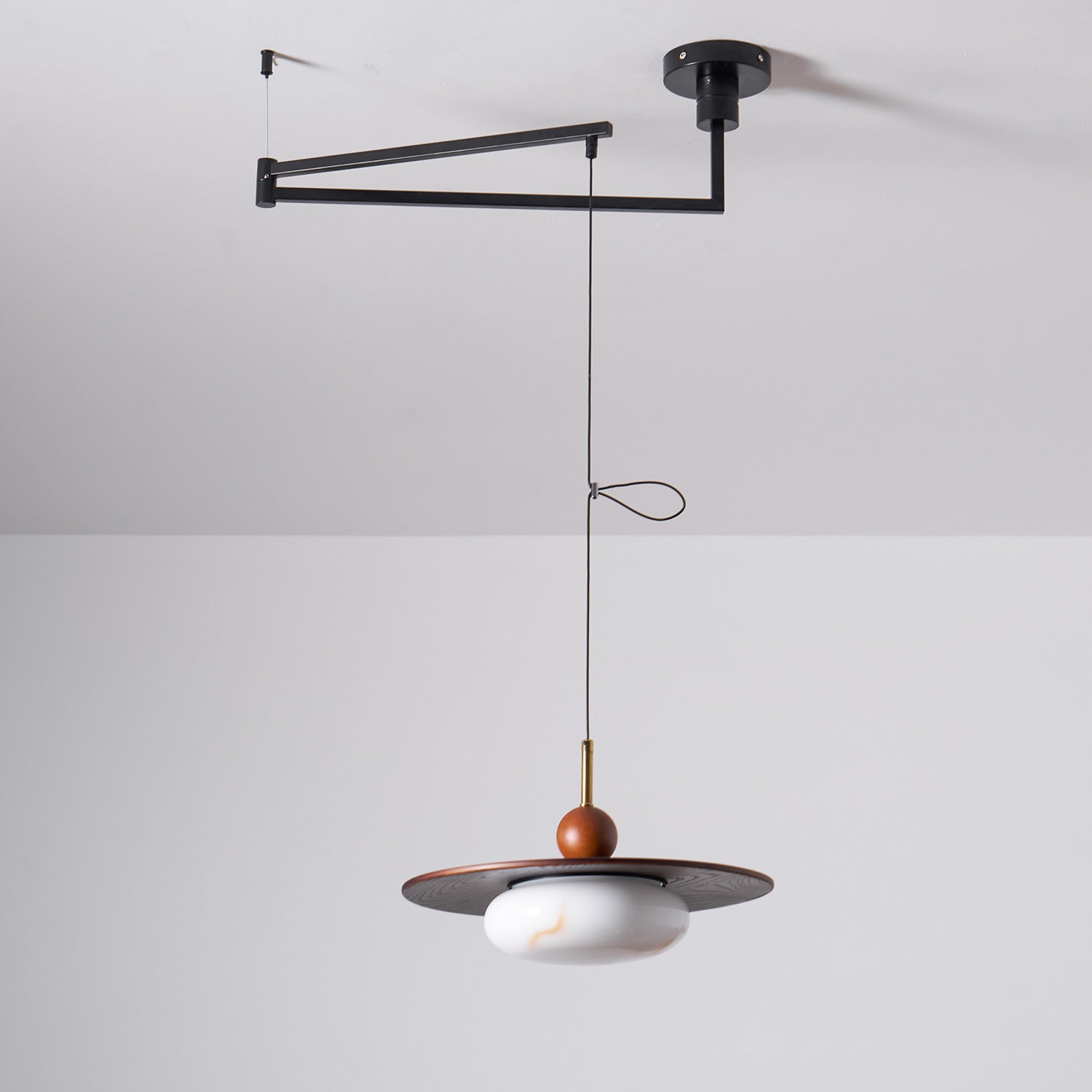 Calani Swing Arm Pendant Light