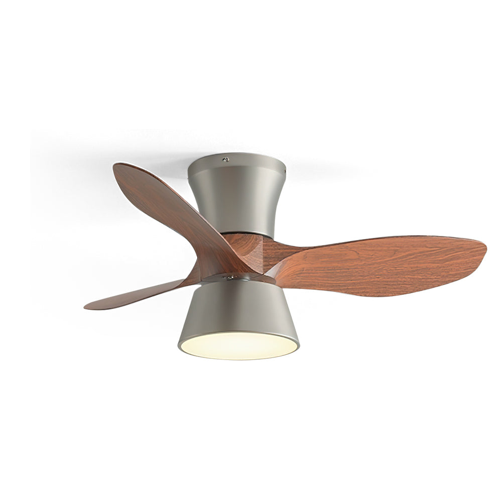 Hayvi Ceiling Fan Light