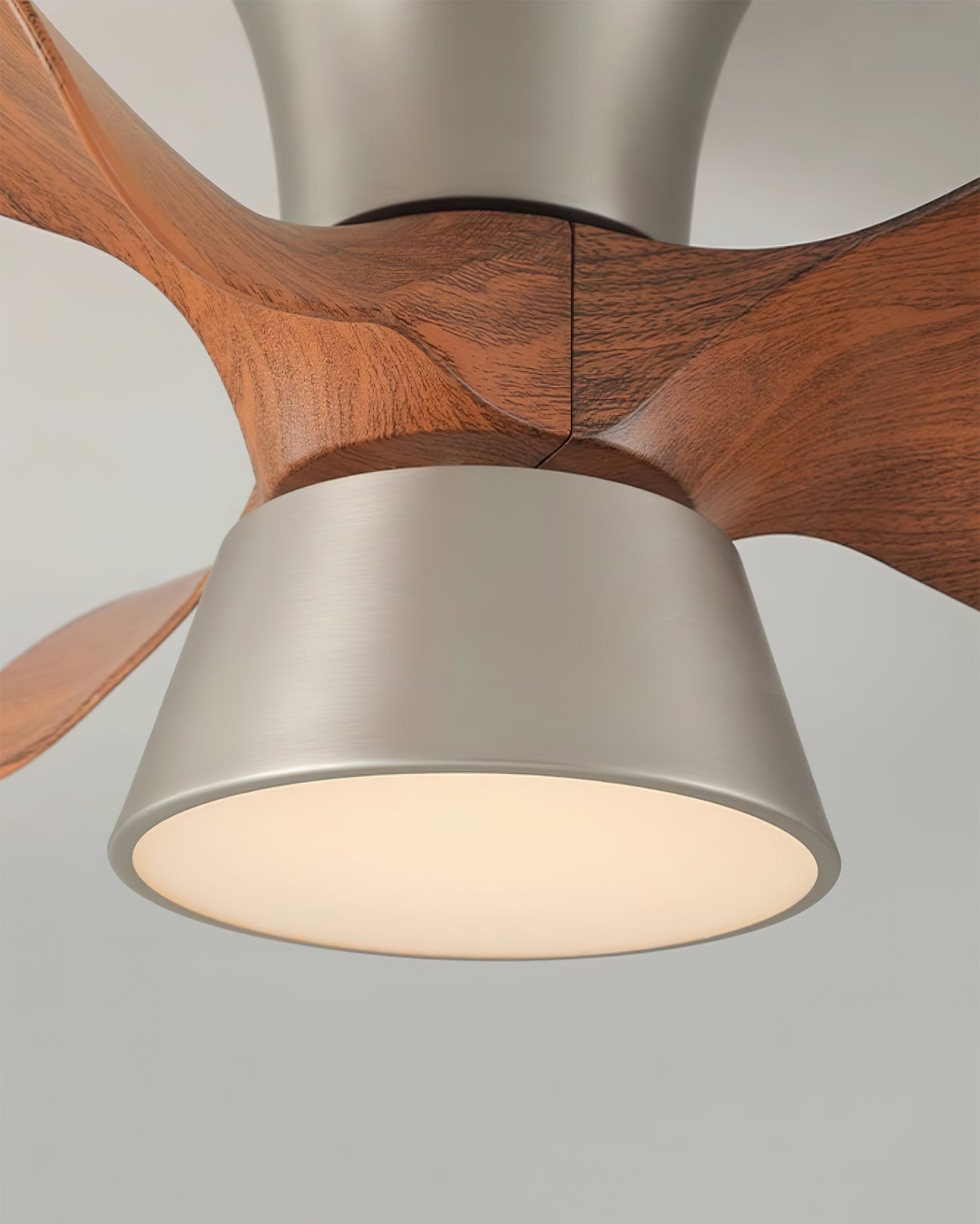 Hayvi Ceiling Fan Light