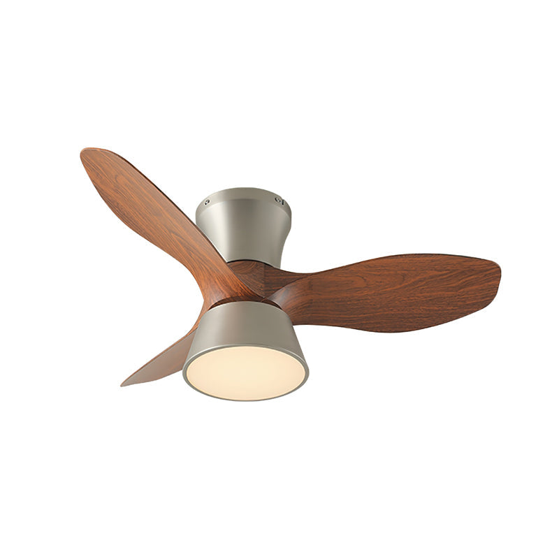 Hayvi Ceiling Fan Light