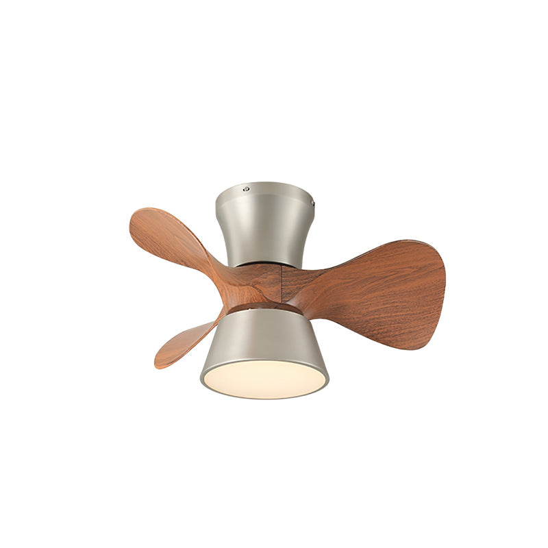 Hayvi Ceiling Fan Light