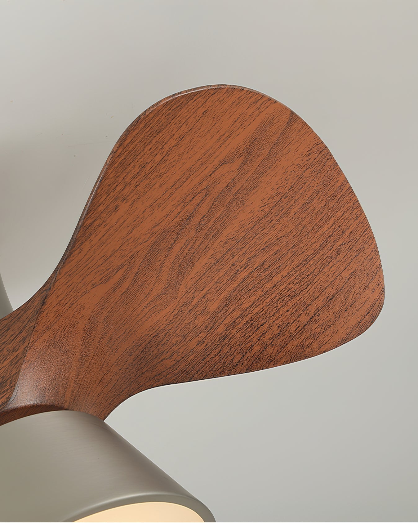 Hayvi Ceiling Fan Light