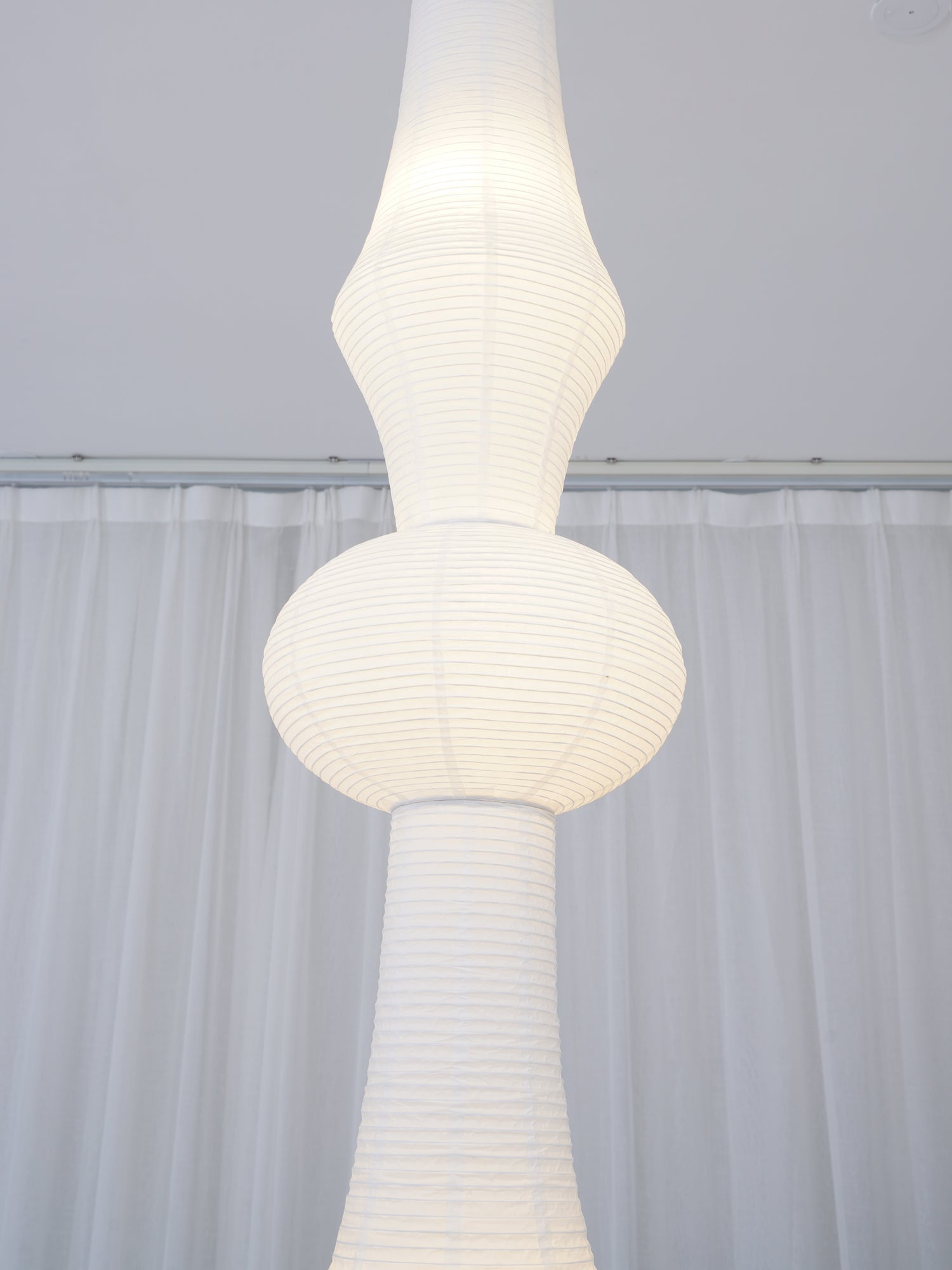 Foxwell Pendant Light