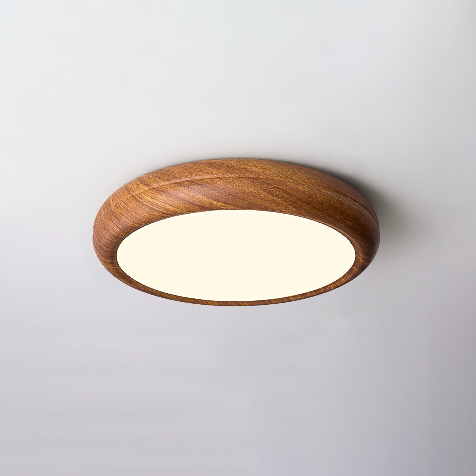 Delva Round Ceiling Light
