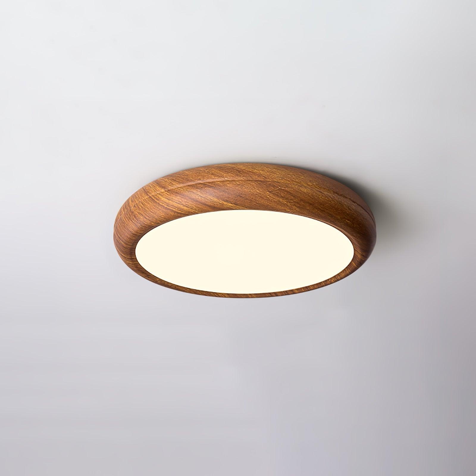 Delva Round Ceiling Light