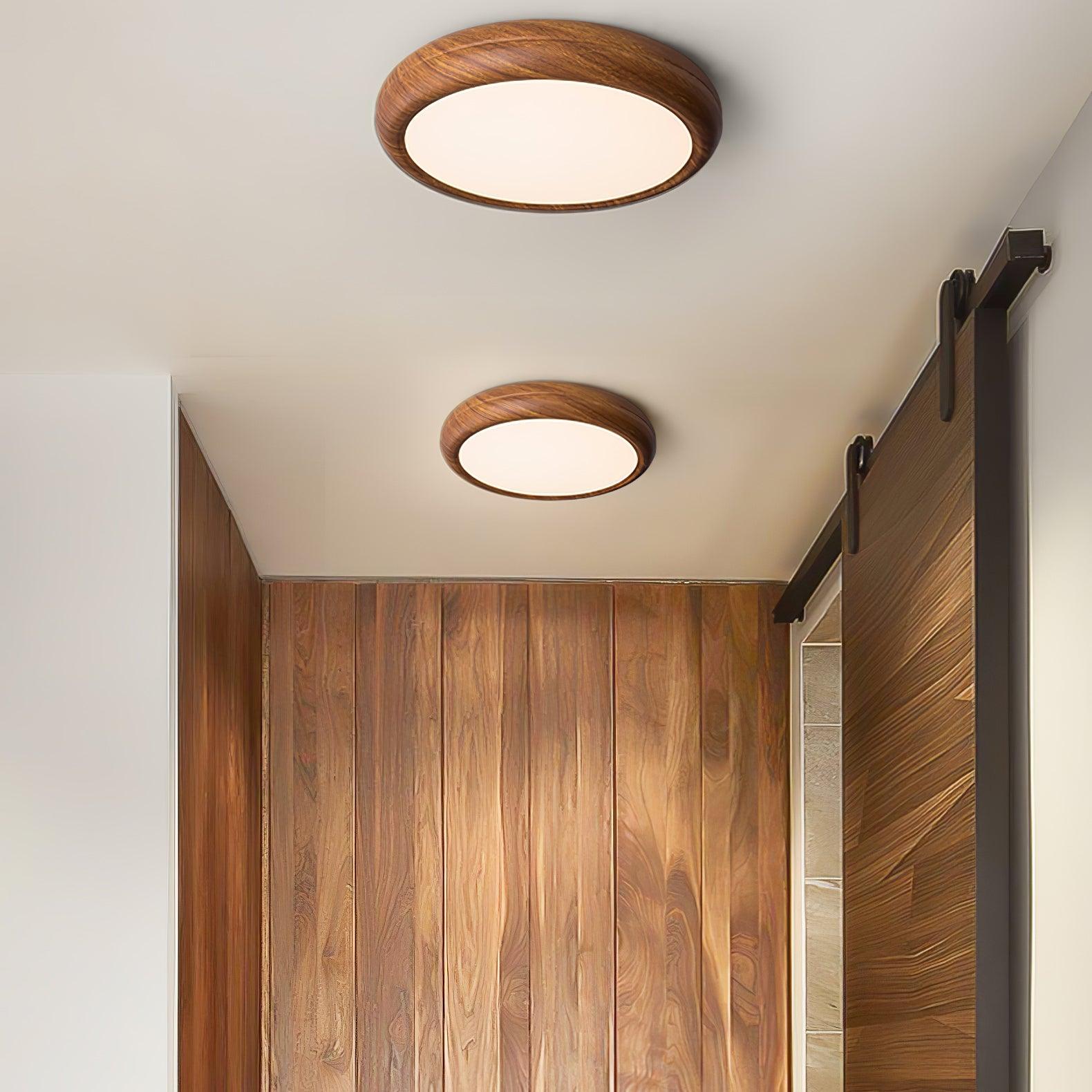 Delva Round Ceiling Light