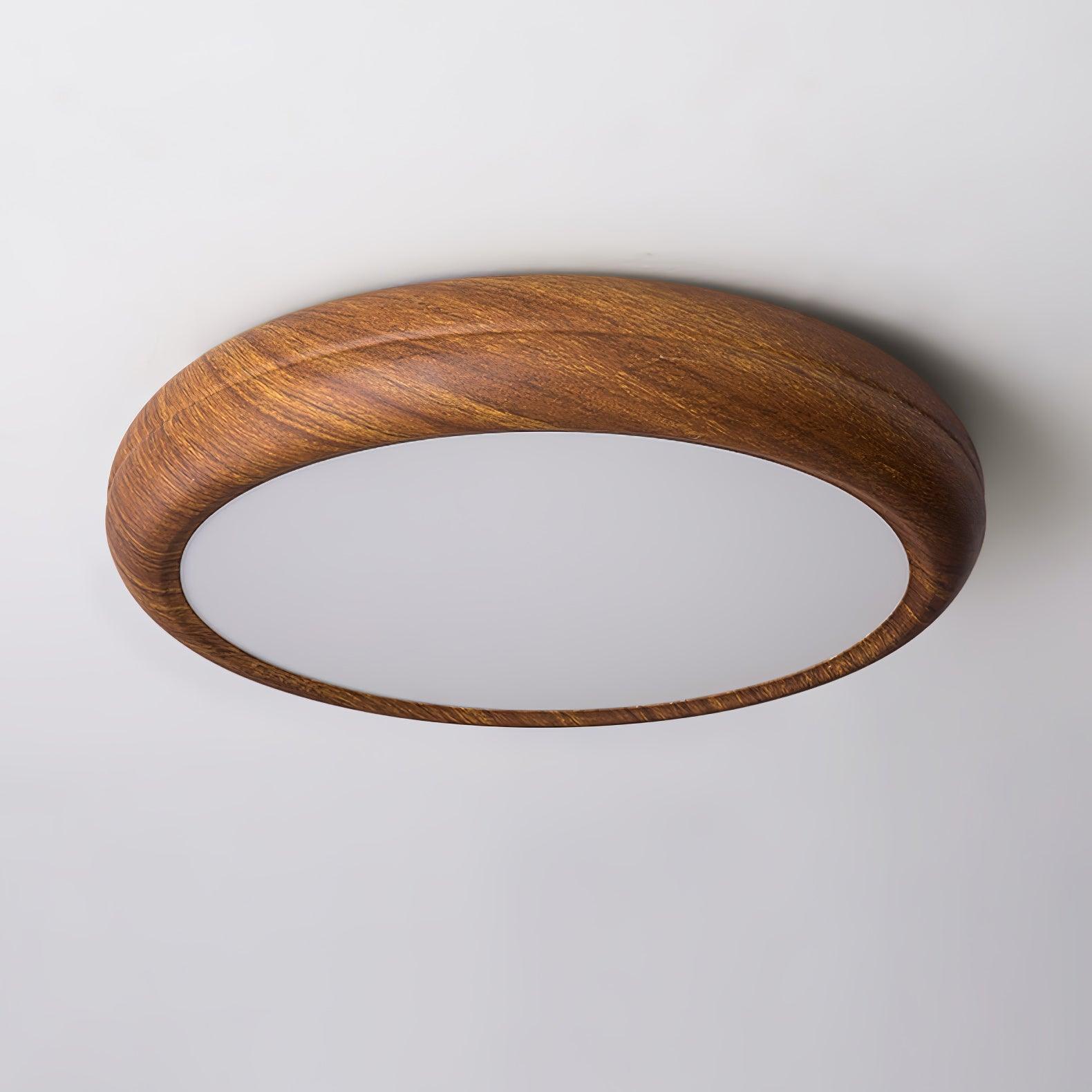 Delva Round Ceiling Light