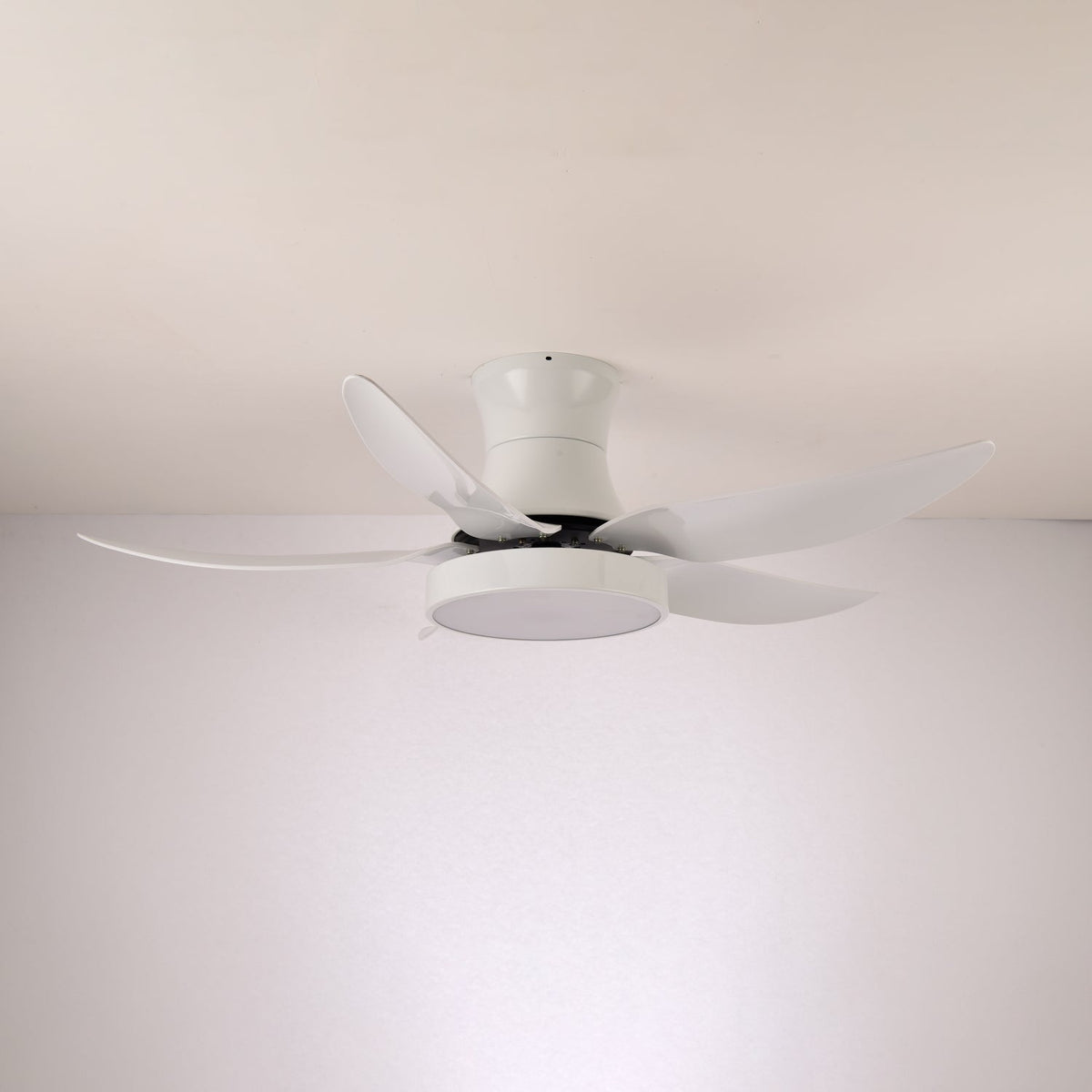 Avero Modern Ceiling Fan Light