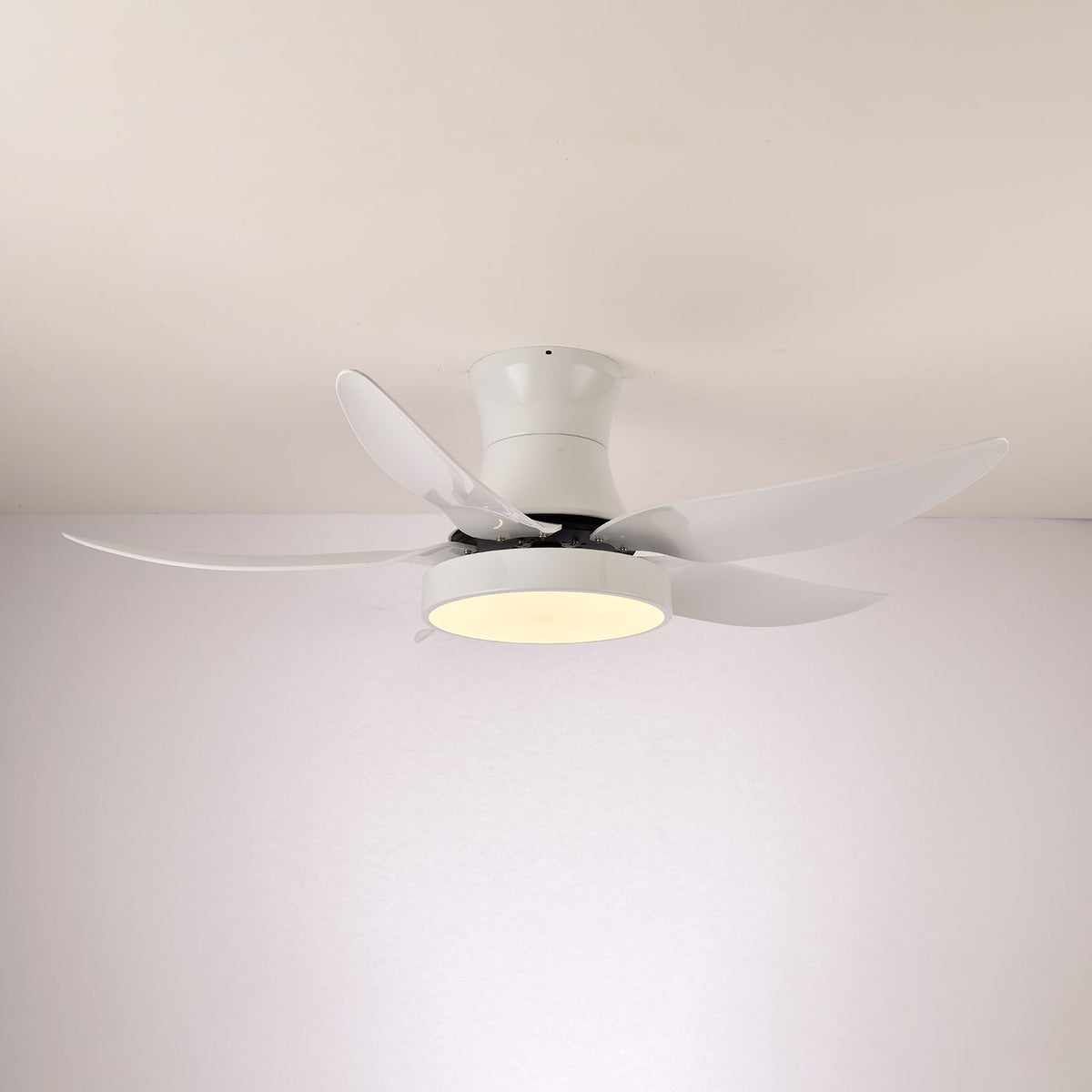 Avero Modern Ceiling Fan Light