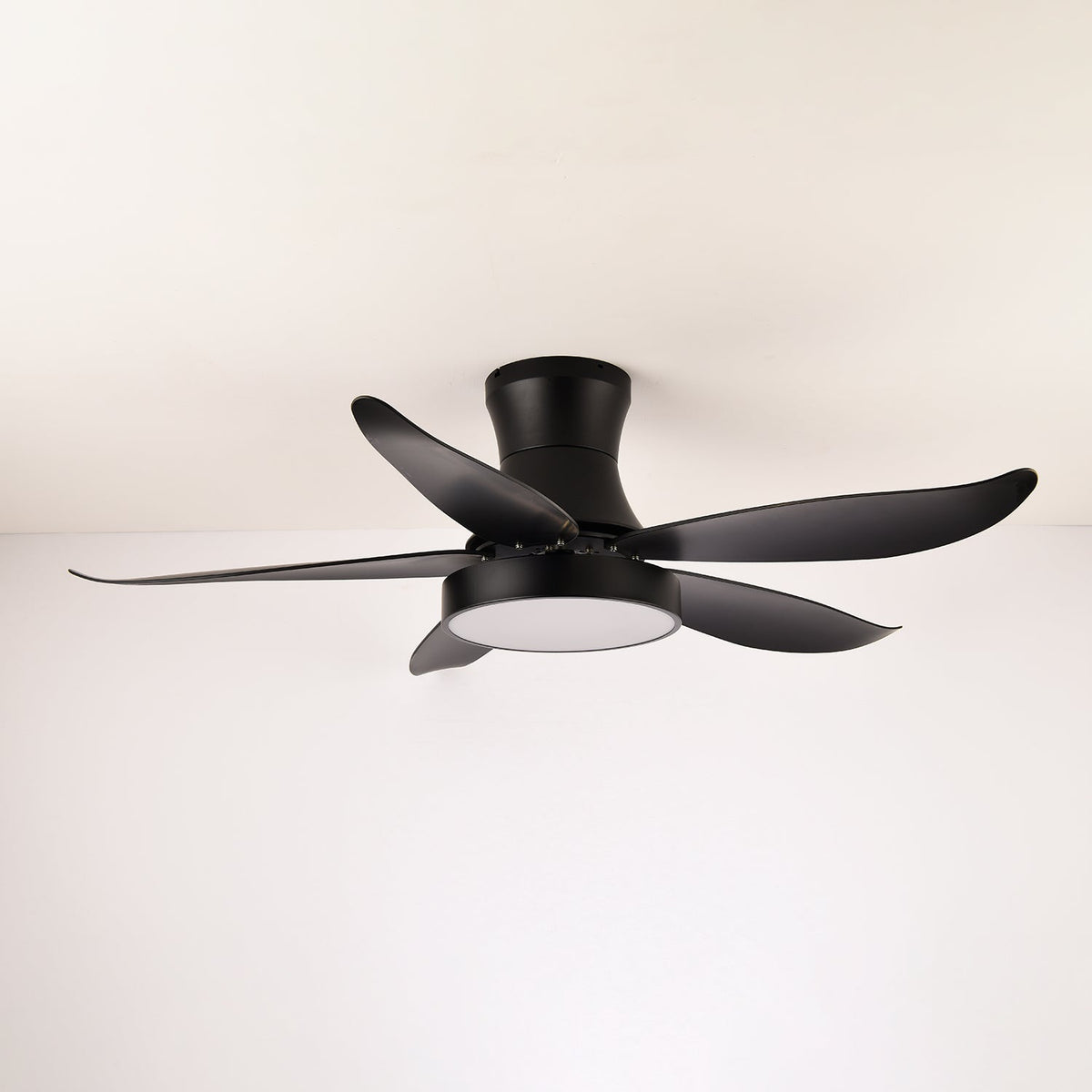 Avero Modern Ceiling Fan Light