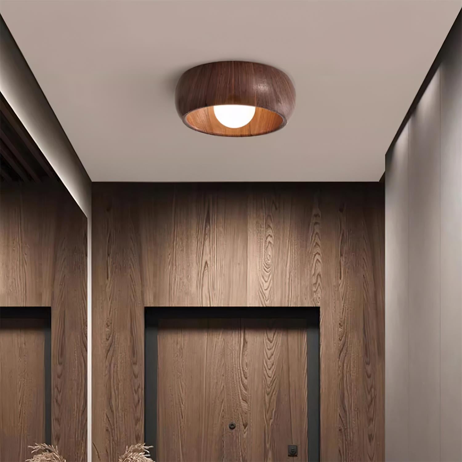 Sollynum Ceiling Light
