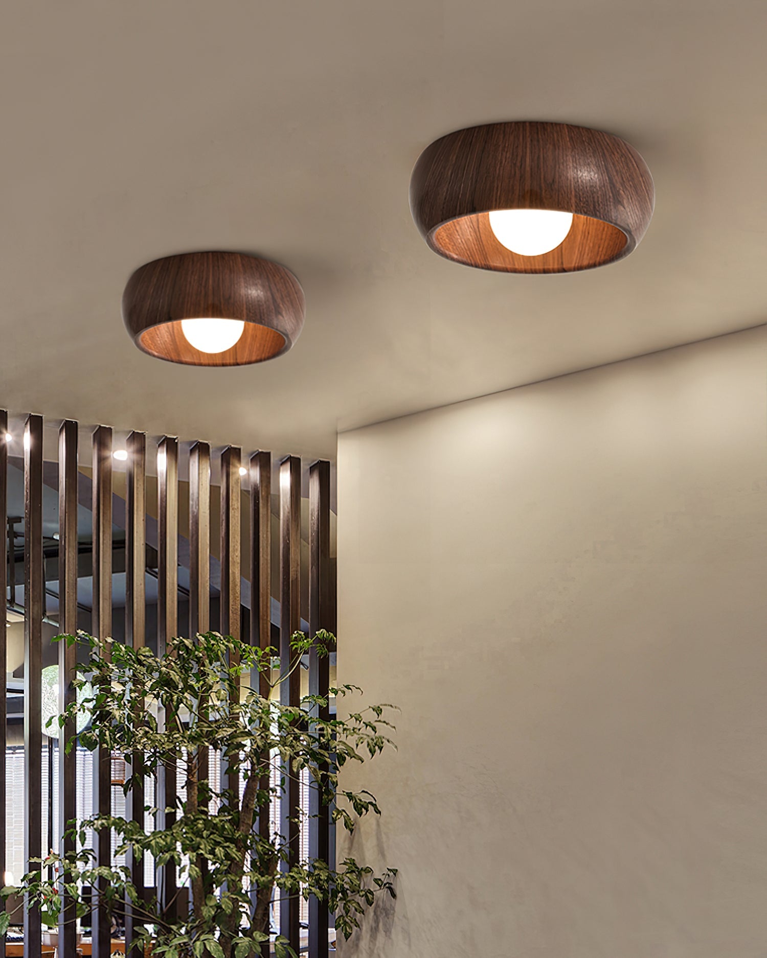 Sollynum Ceiling Light