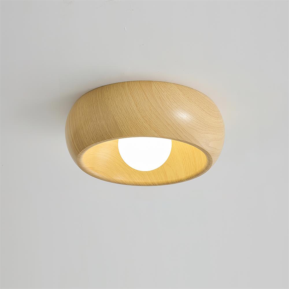 Sollynum Ceiling Light
