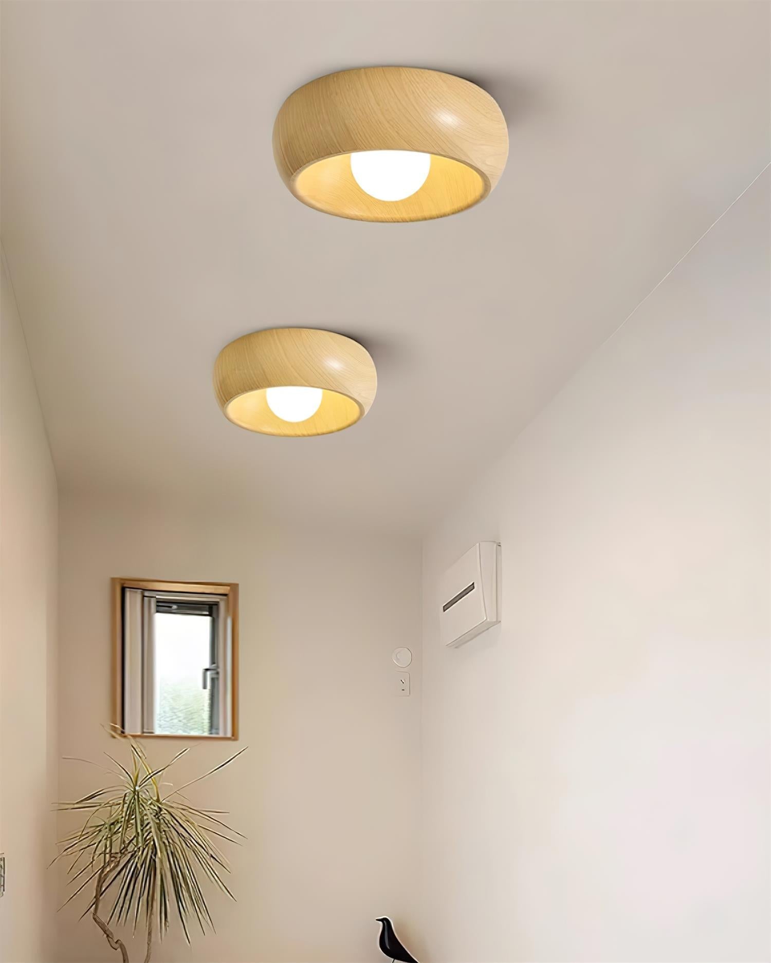 Sollynum Ceiling Light