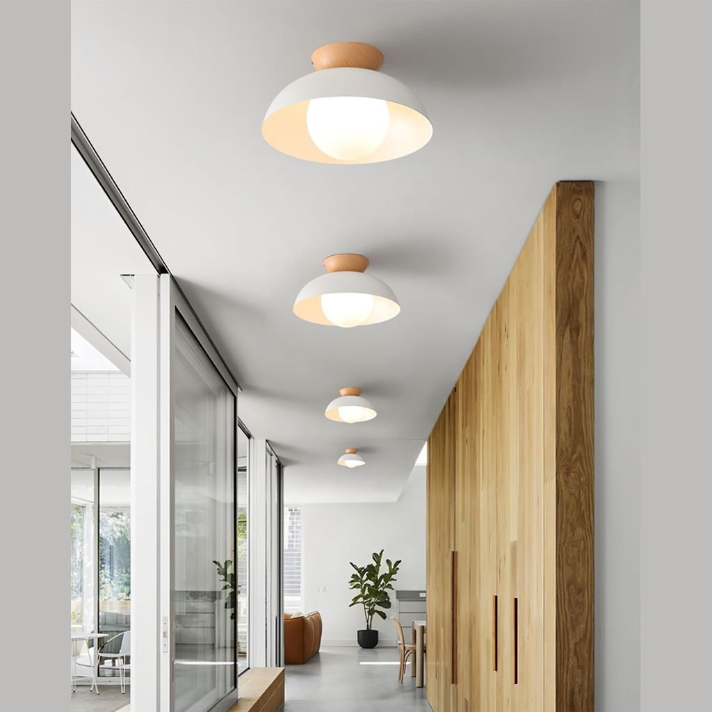Junova Sloped Ceiling Light