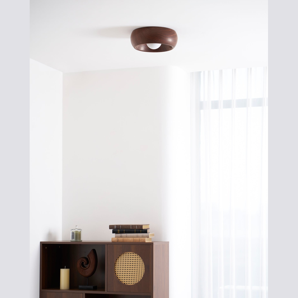 Sollynum Ceiling Light