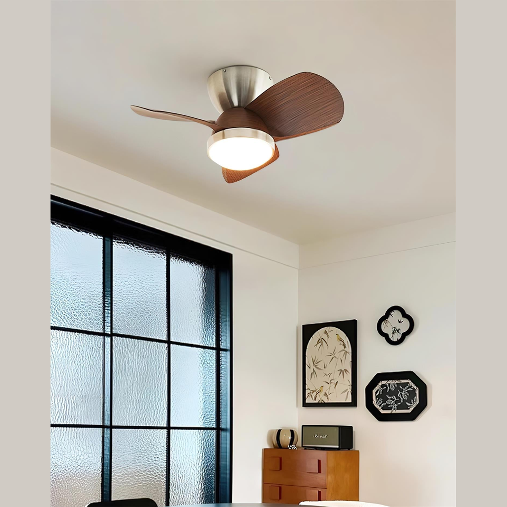 Mavro Ceiling Fan Light