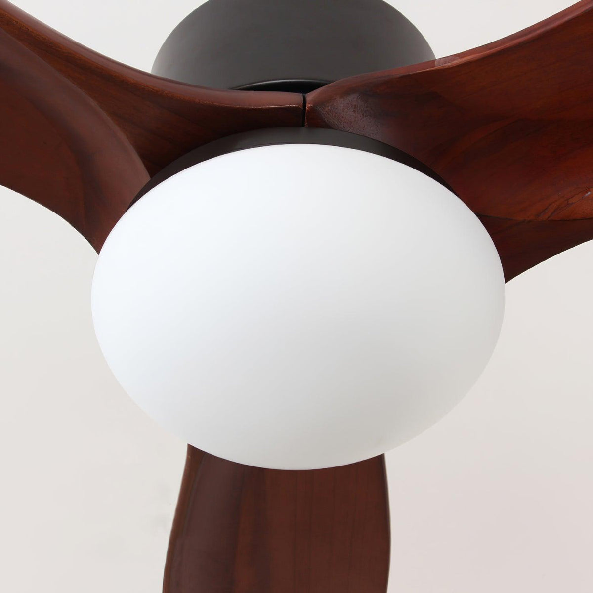 Zera Ceiling Fan Light