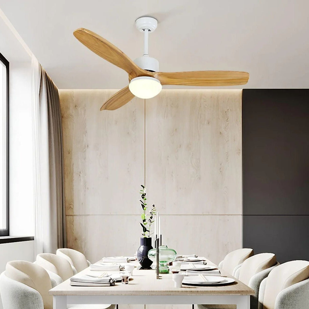 Zera Ceiling Fan Light