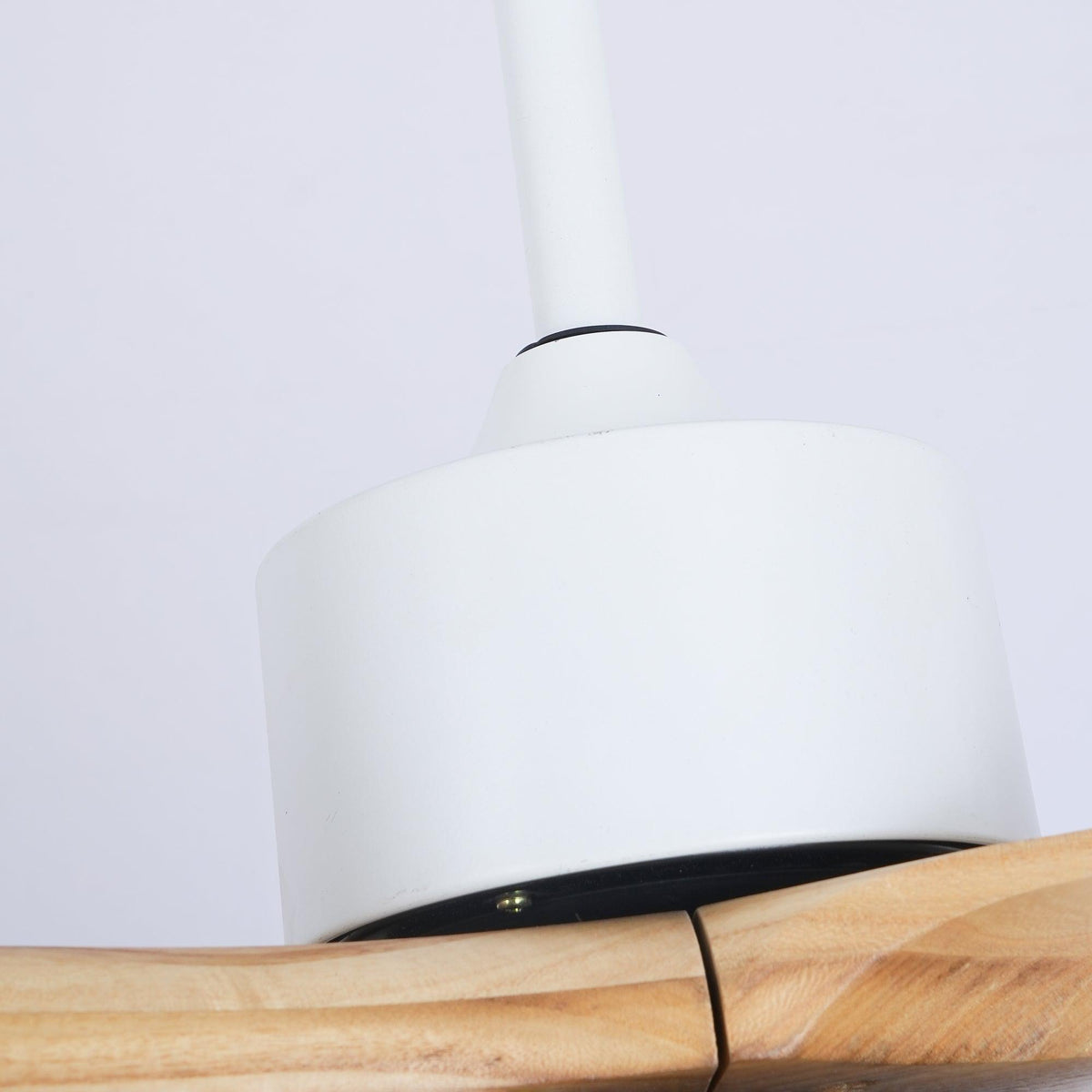Zera Ceiling Fan Light