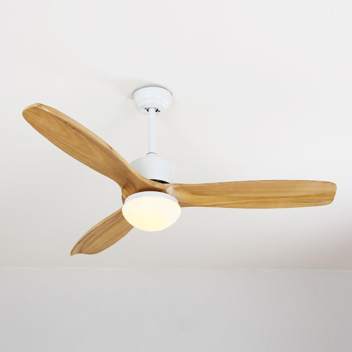 Zera Ceiling Fan Light