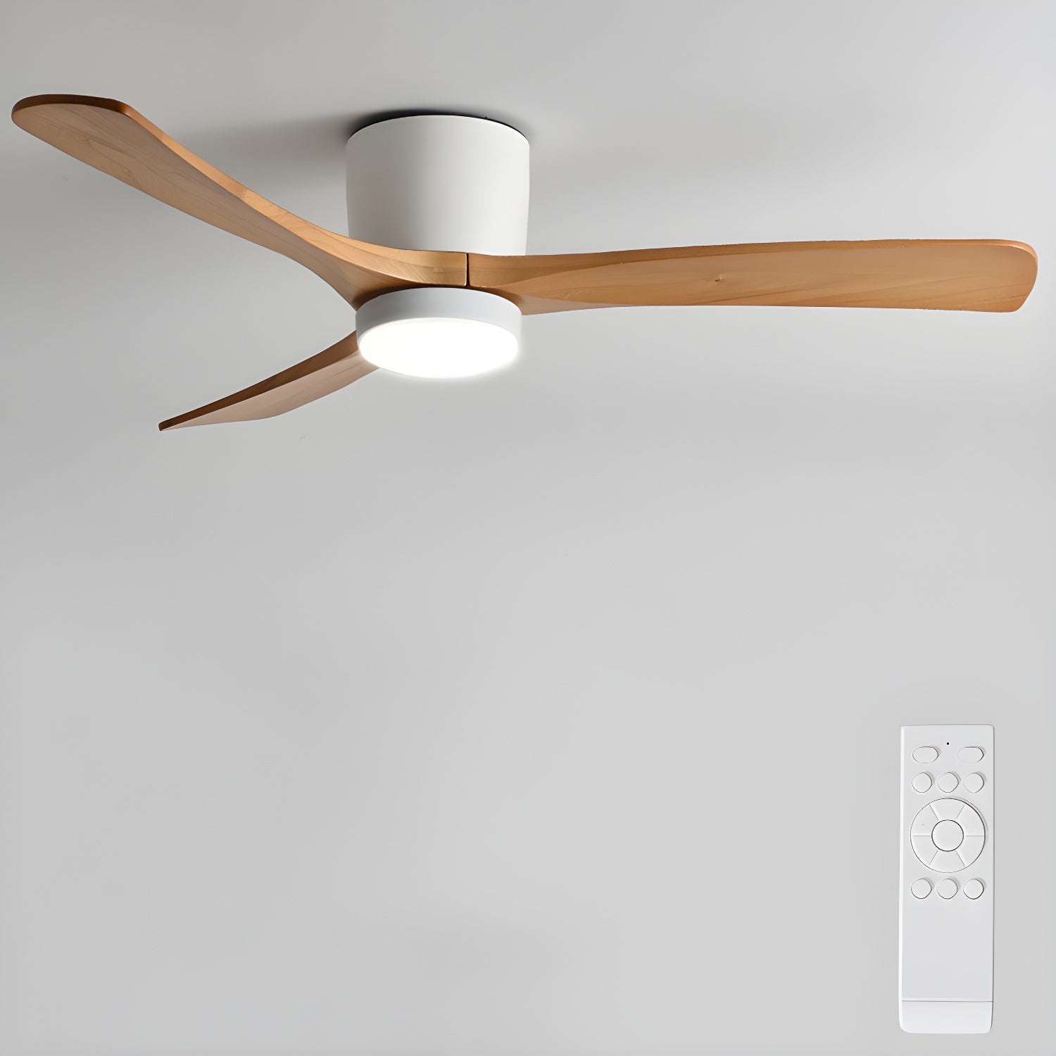 Solissa Ceiling Fan Light