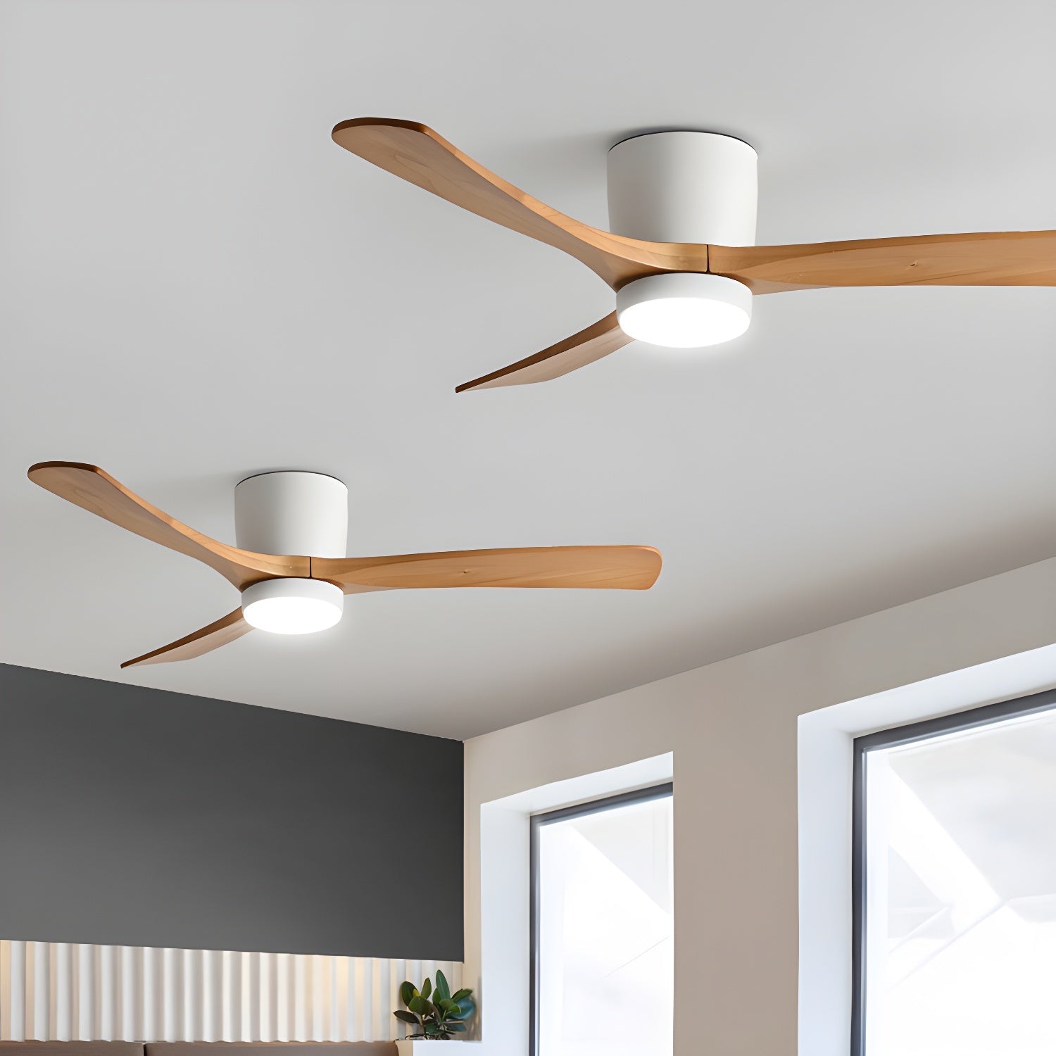 Solissa Ceiling Fan Light