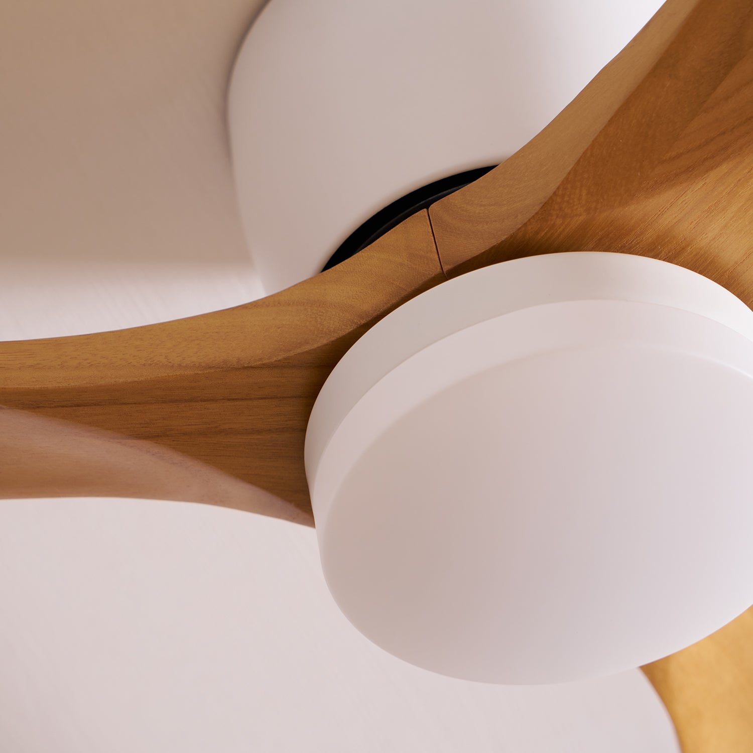 Solissa Ceiling Fan Light