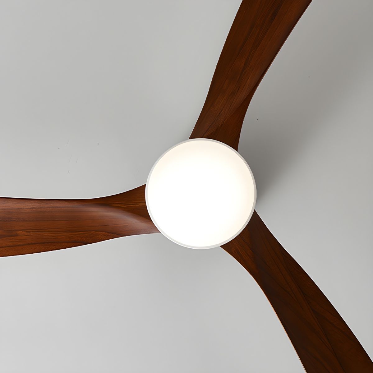 Solissa Ceiling Fan Light
