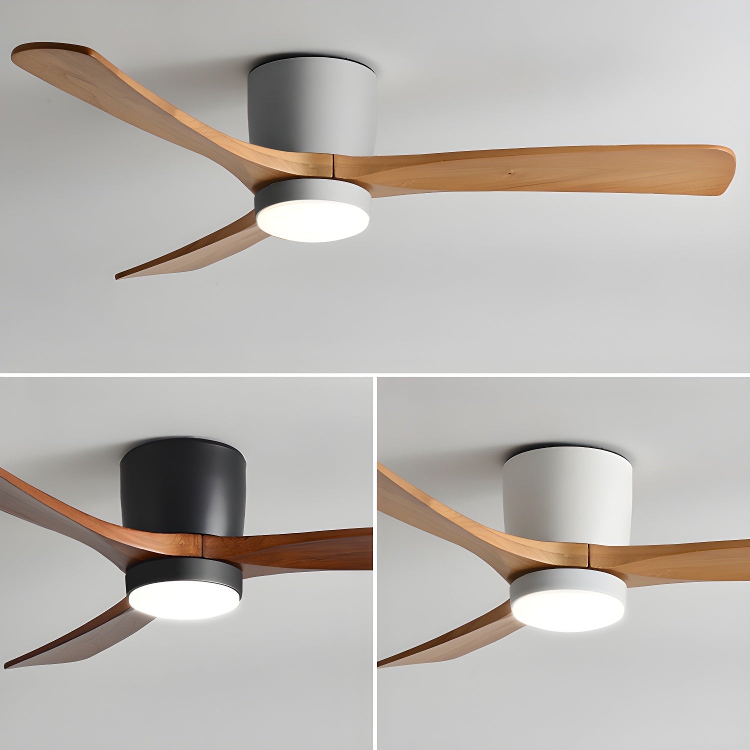Solissa Ceiling Fan Light