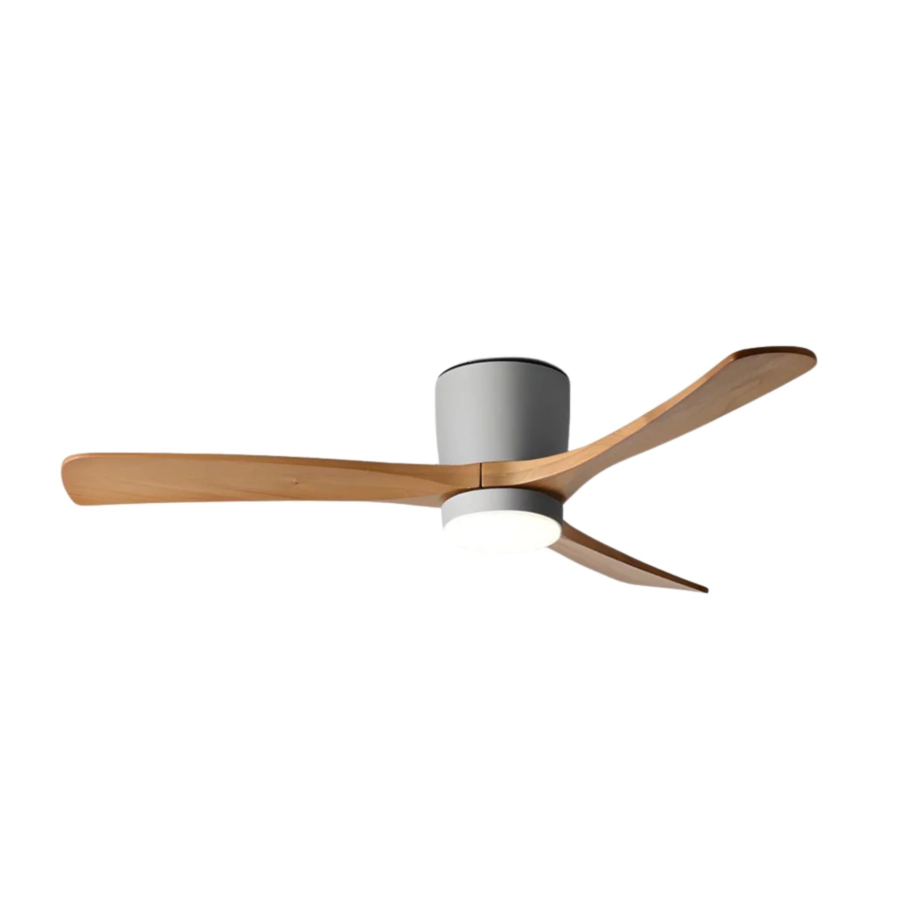 Solissa Ceiling Fan Light