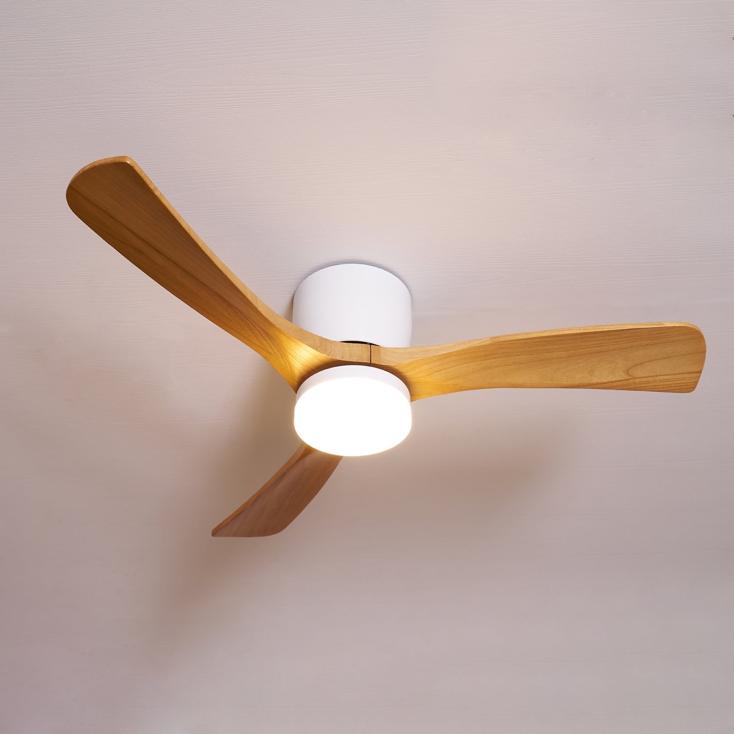 Solissa Ceiling Fan Light