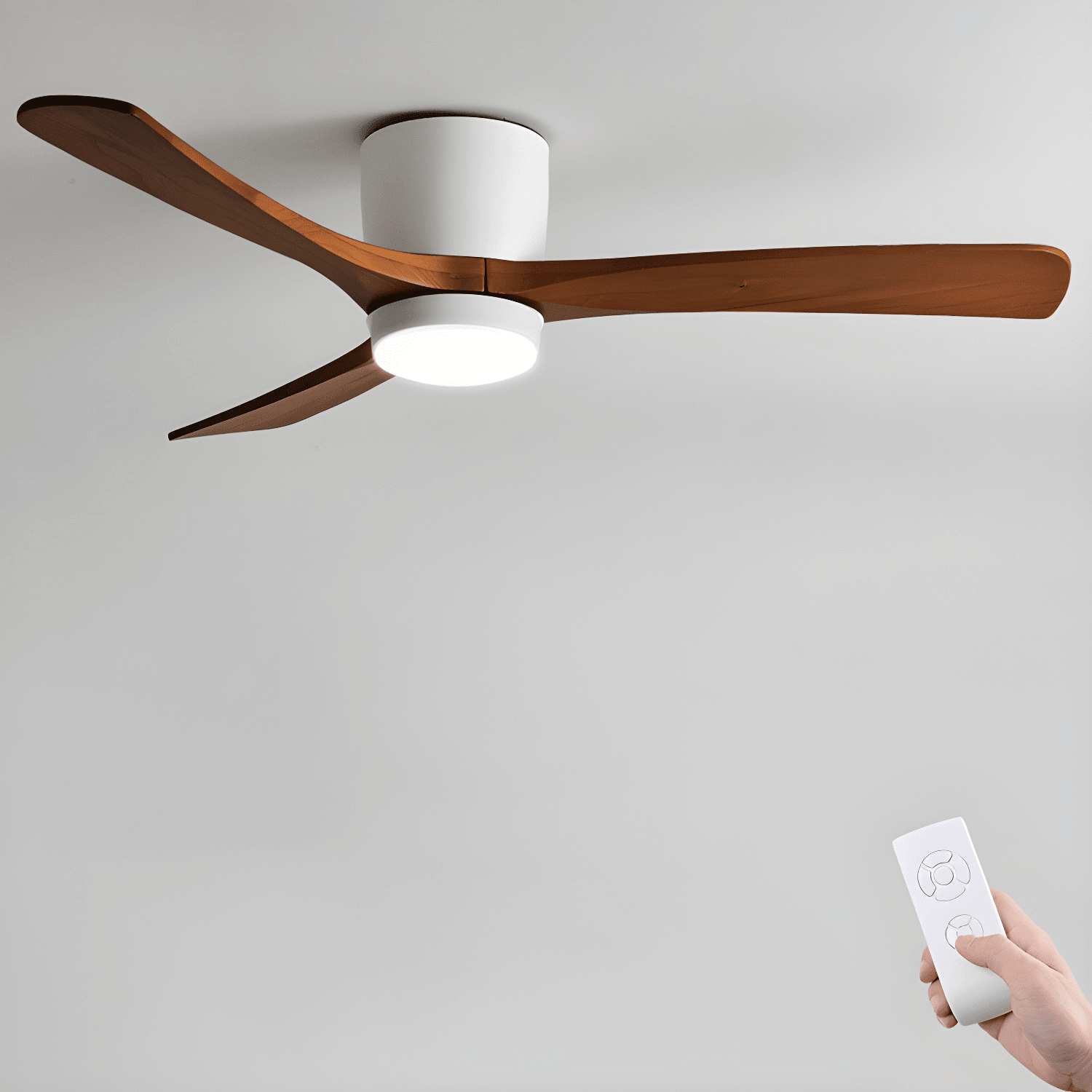 Solissa Ceiling Fan Light